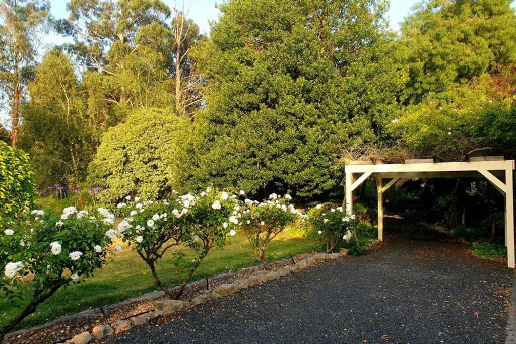 Bella Mia Tuscan Paradise Маунт Гамбиър Екстериор снимка